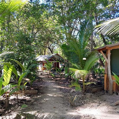 Fully Furnished Family Jungle Tent, Latino Glamping Paquera Exteriör bild