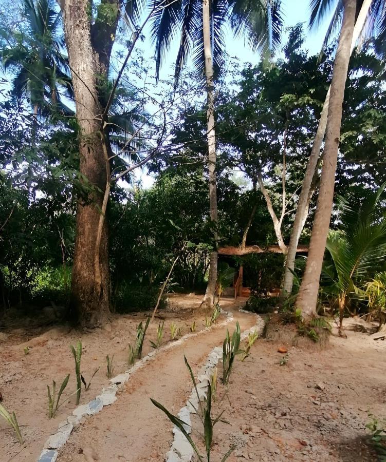 Fully Furnished Family Jungle Tent, Latino Glamping Paquera Exteriör bild