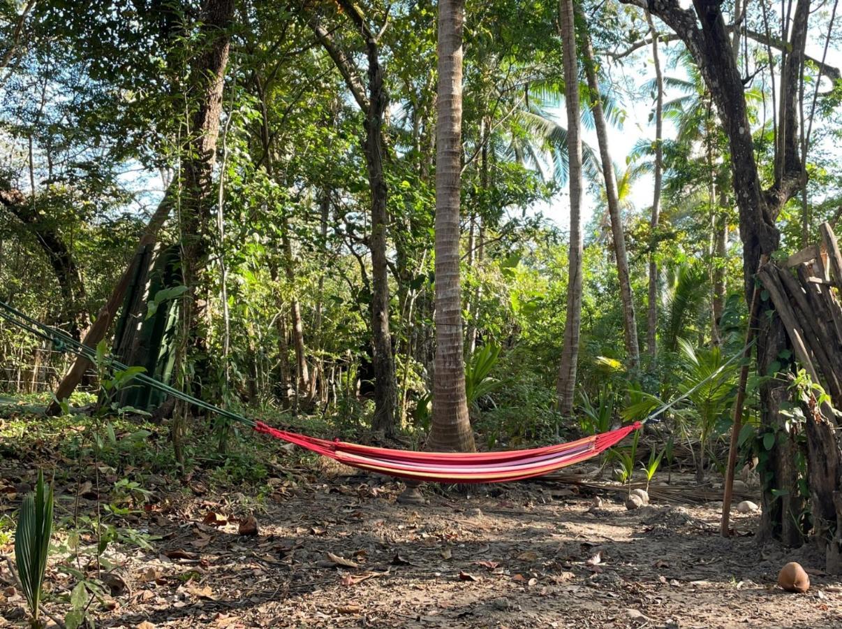 Fully Furnished Family Jungle Tent, Latino Glamping Paquera Exteriör bild
