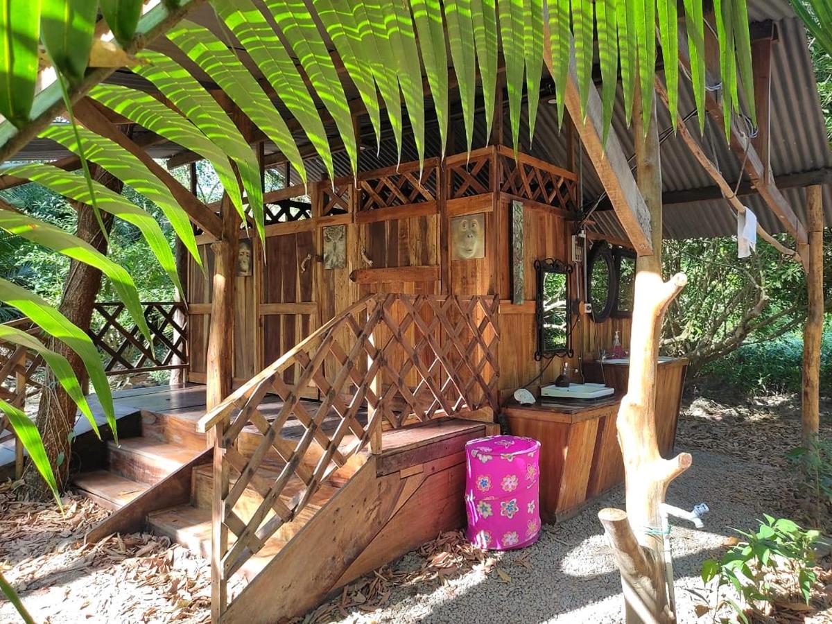 Fully Furnished Family Jungle Tent, Latino Glamping Paquera Exteriör bild