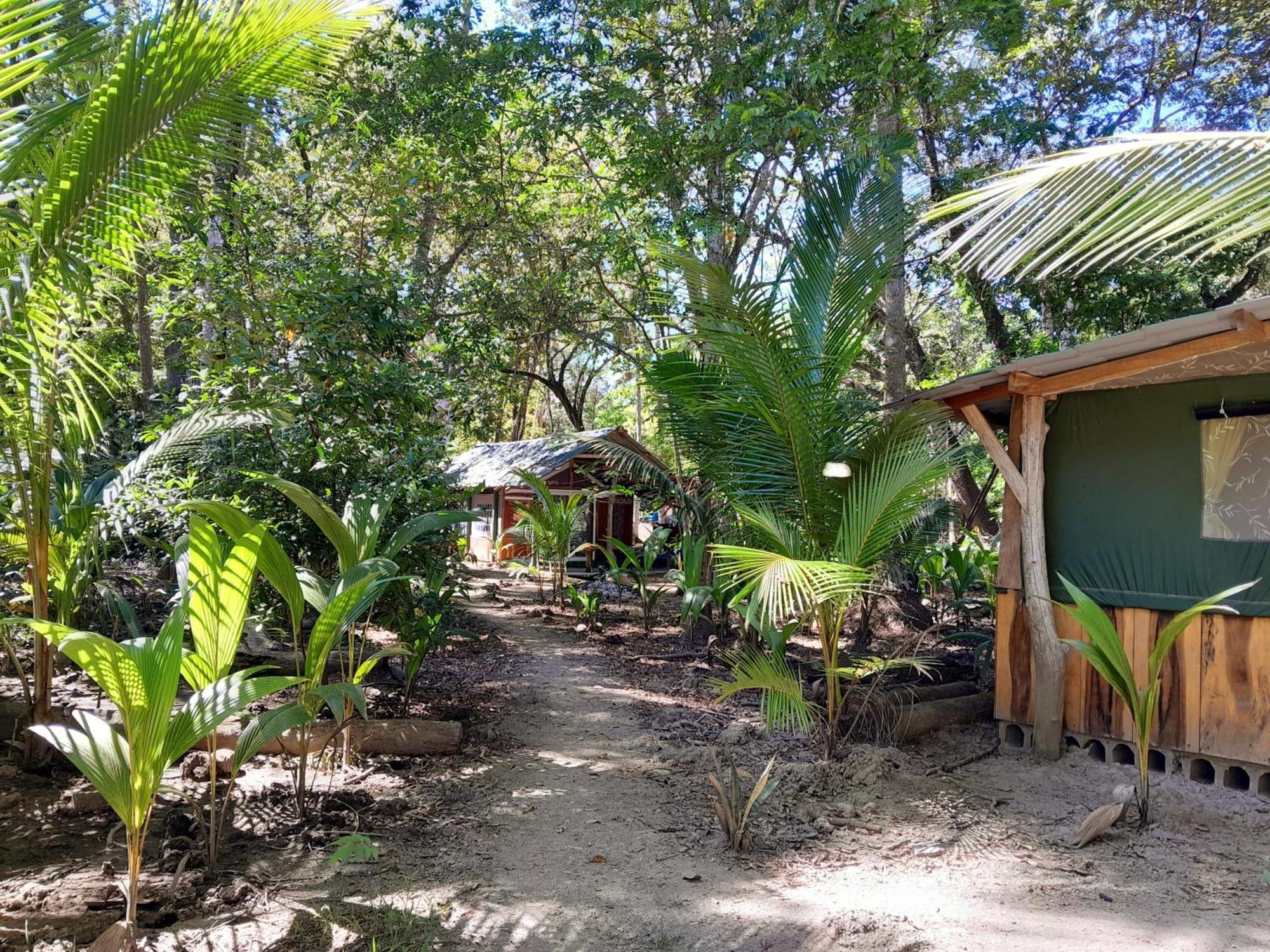 Fully Furnished Family Jungle Tent, Latino Glamping Paquera Exteriör bild