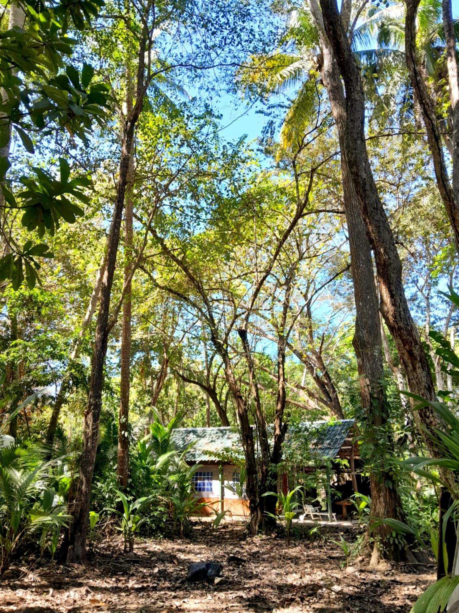Fully Furnished Family Jungle Tent, Latino Glamping Paquera Exteriör bild