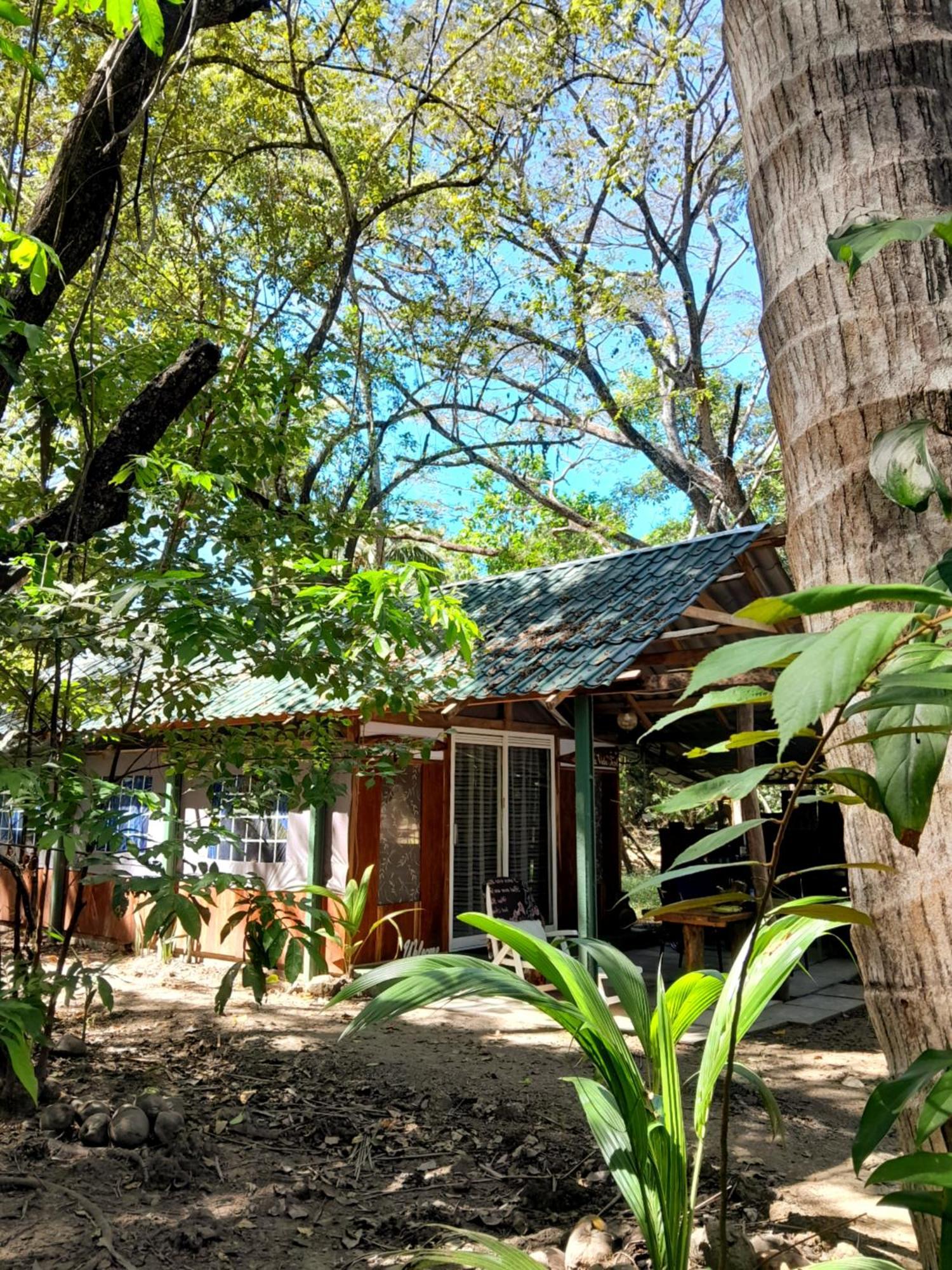 Fully Furnished Family Jungle Tent, Latino Glamping Paquera Exteriör bild