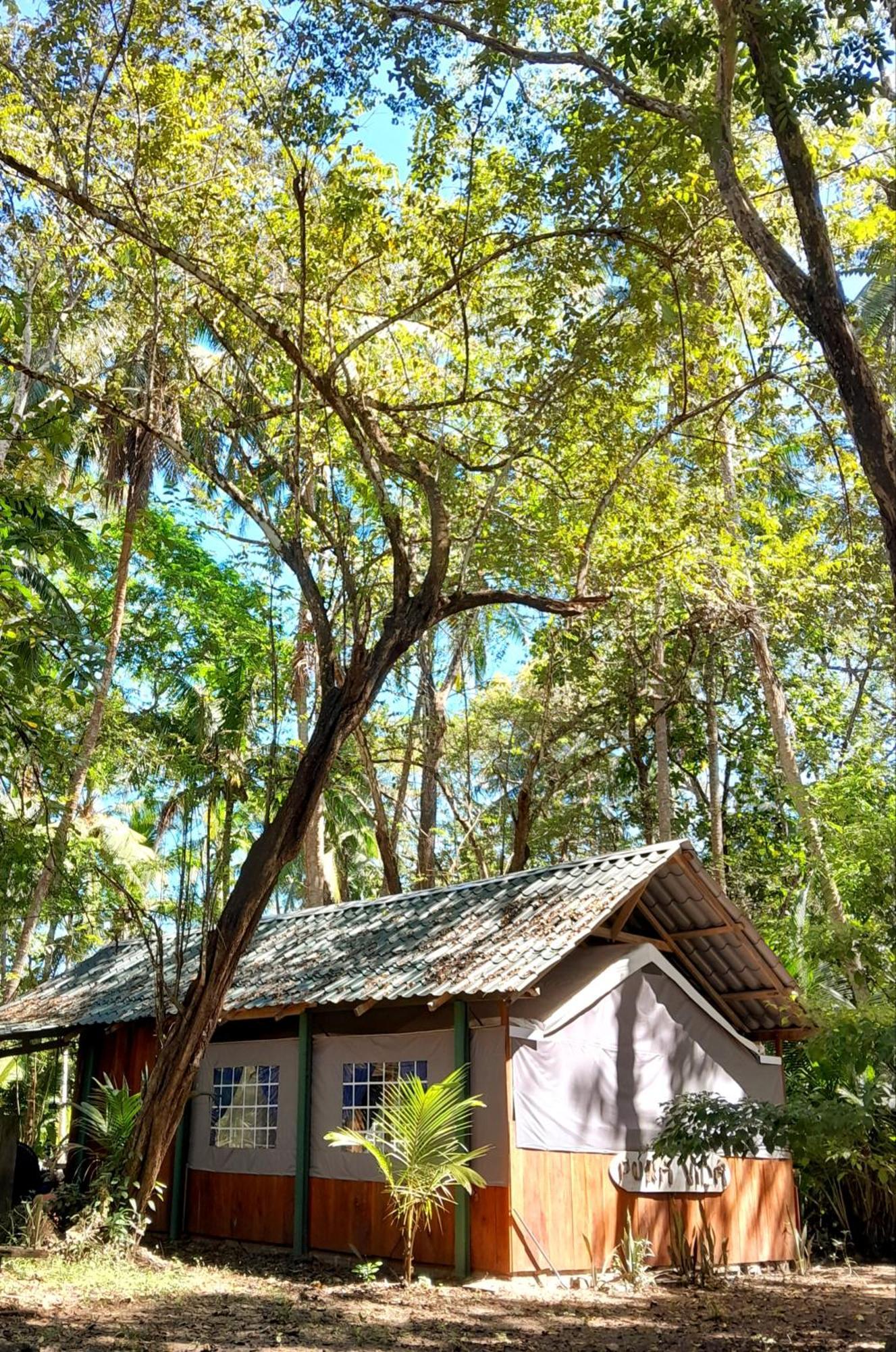 Fully Furnished Family Jungle Tent, Latino Glamping Paquera Exteriör bild