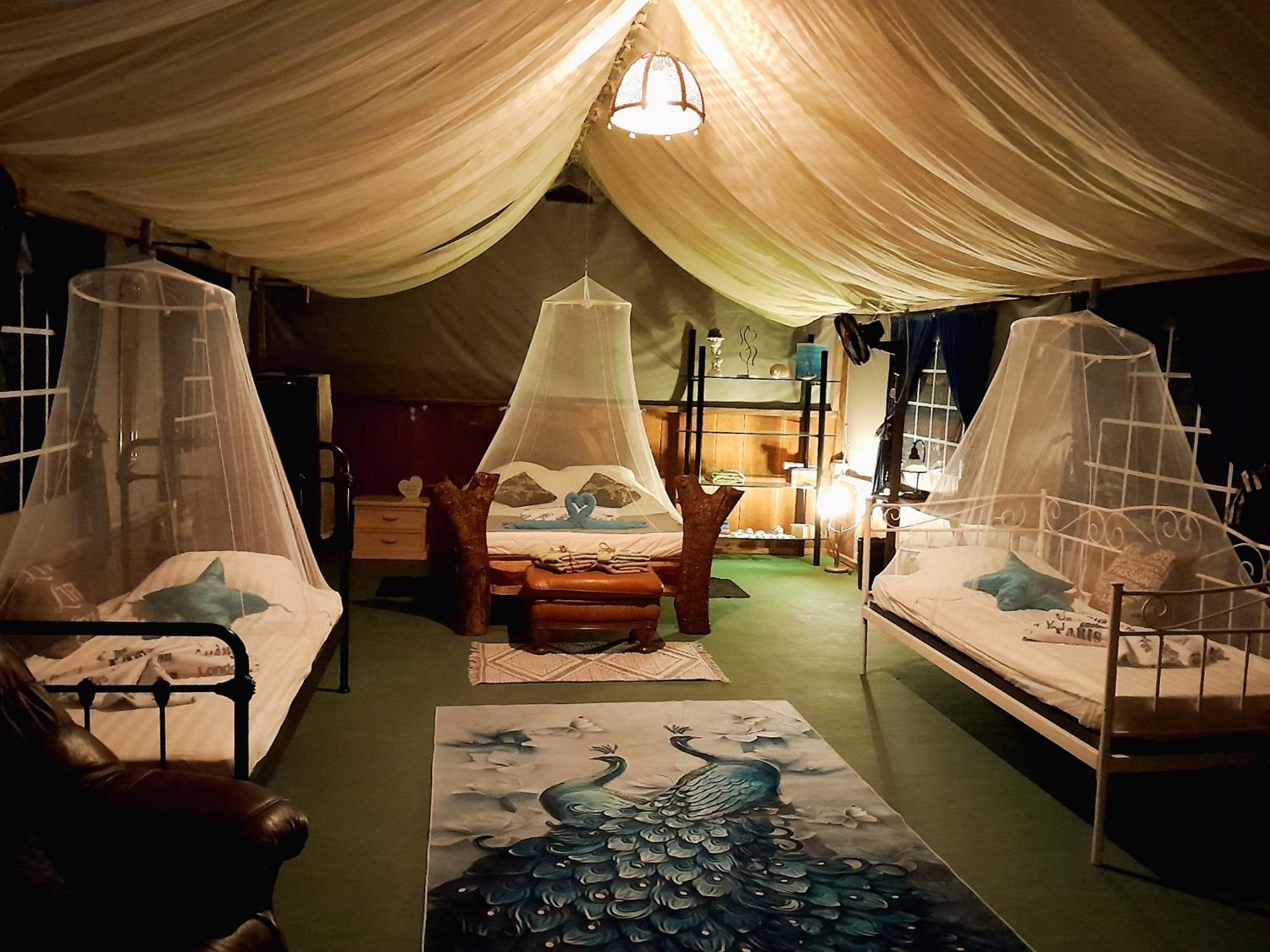 Fully Furnished Family Jungle Tent, Latino Glamping Paquera Exteriör bild