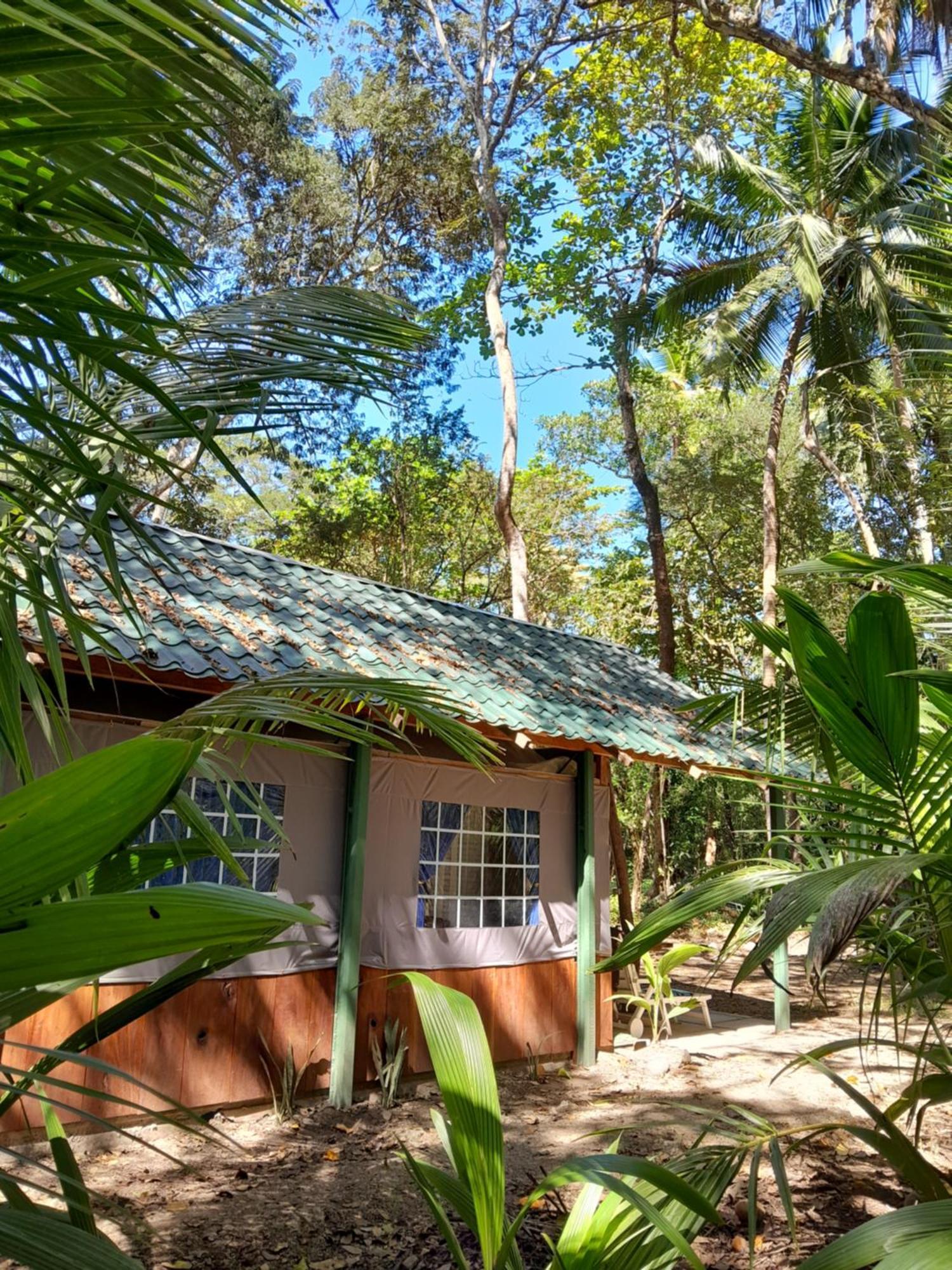 Fully Furnished Family Jungle Tent, Latino Glamping Paquera Exteriör bild