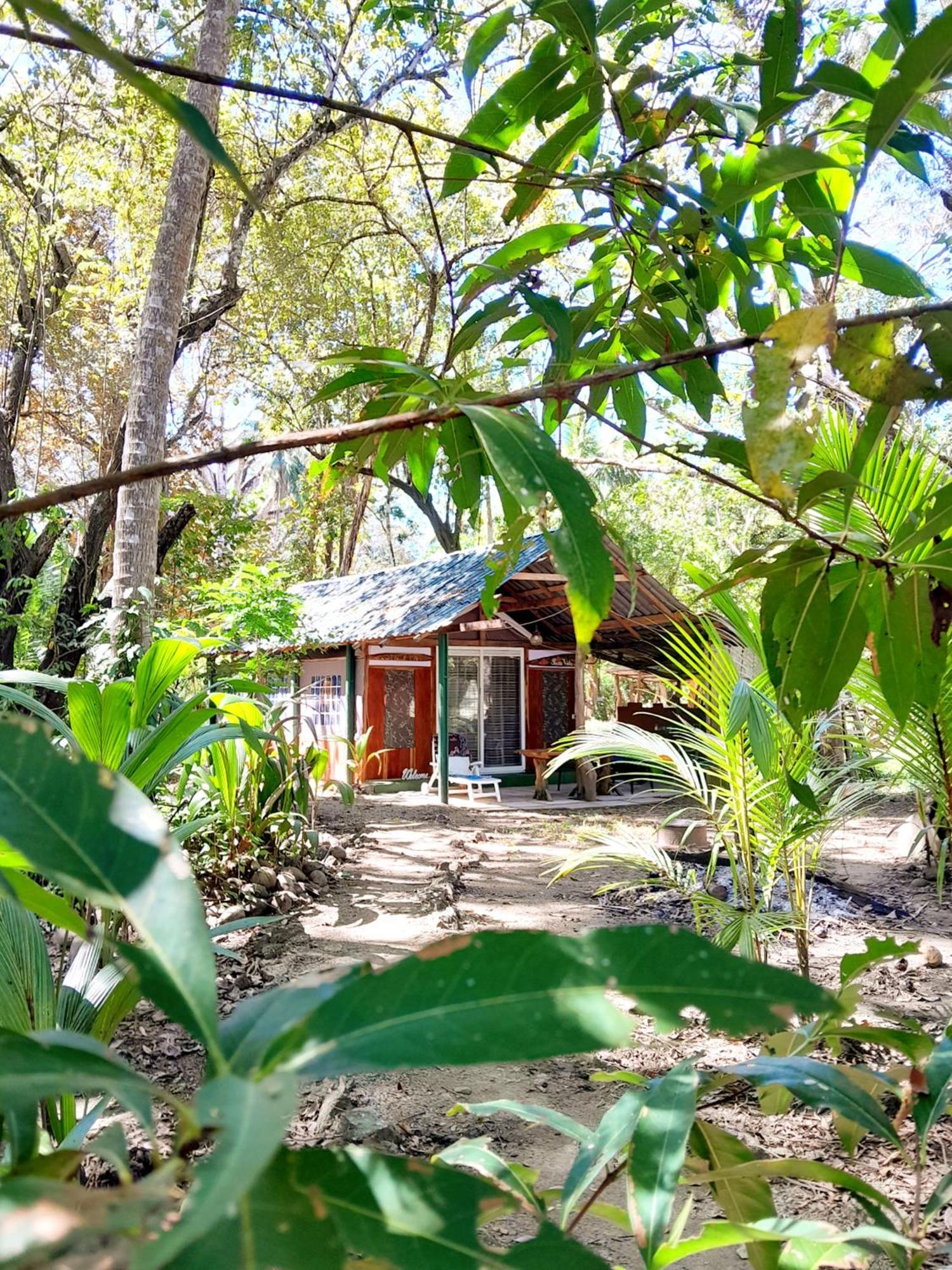 Fully Furnished Family Jungle Tent, Latino Glamping Paquera Exteriör bild