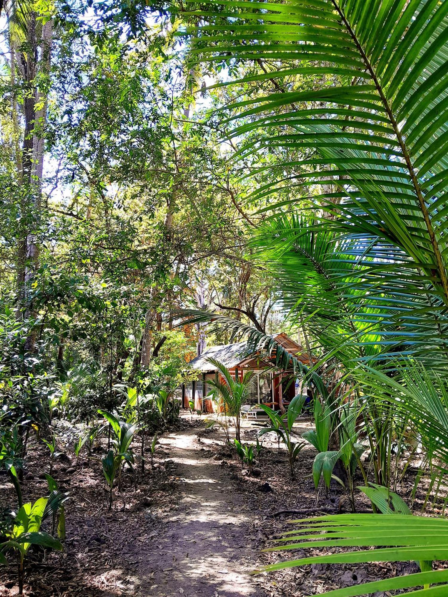 Fully Furnished Family Jungle Tent, Latino Glamping Paquera Exteriör bild
