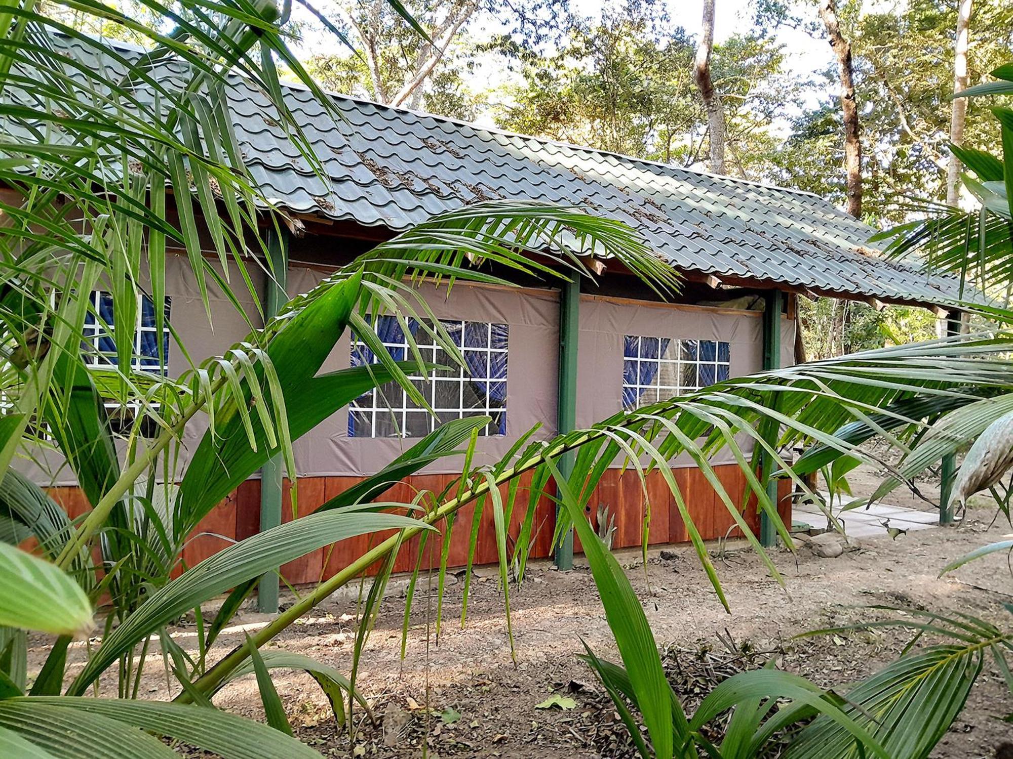 Fully Furnished Family Jungle Tent, Latino Glamping Paquera Exteriör bild