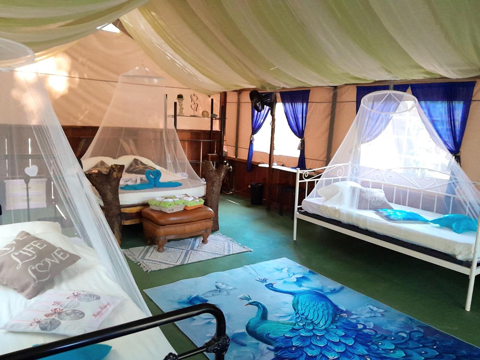 Fully Furnished Family Jungle Tent, Latino Glamping Paquera Exteriör bild