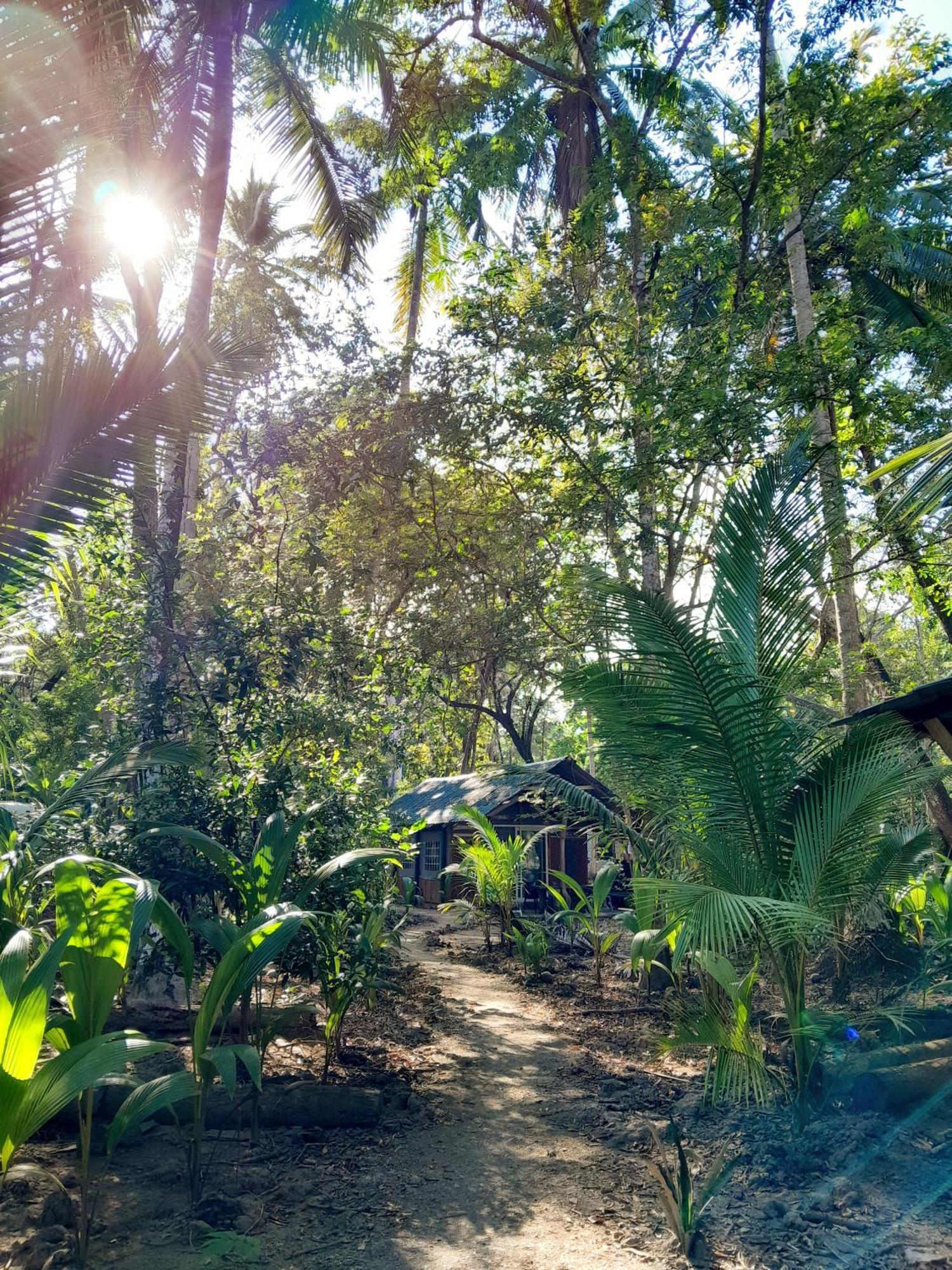 Fully Furnished Family Jungle Tent, Latino Glamping Paquera Exteriör bild